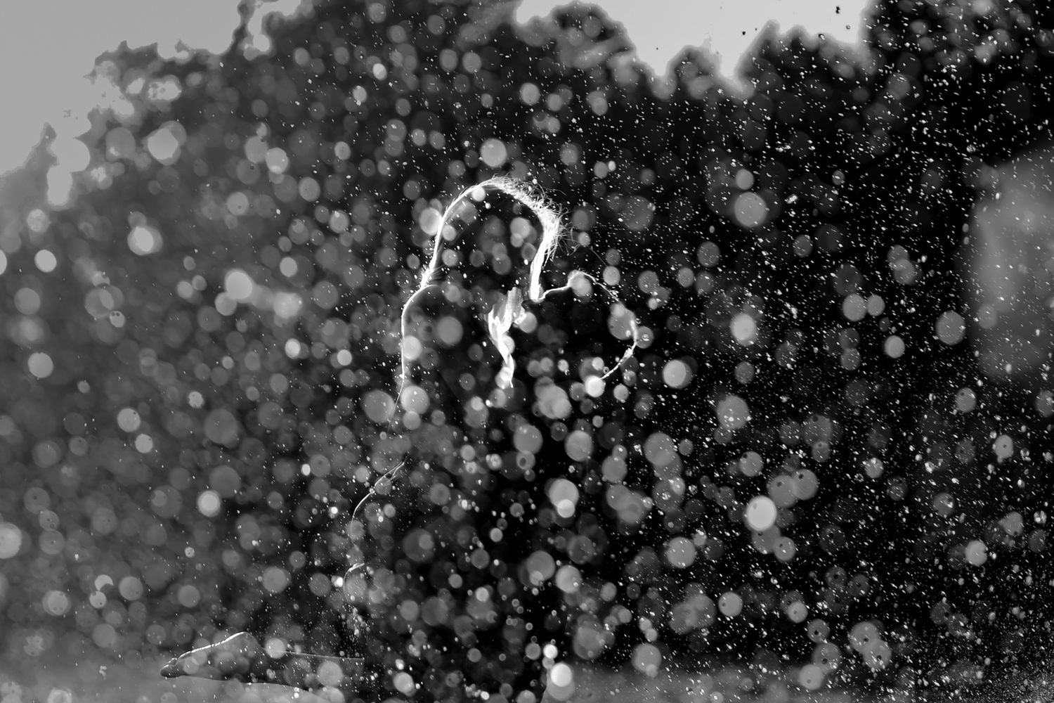 Water spray illuminates as it sprays in front of a couple who are rim lit in golden hour sunlight in Kingston, Ontario.