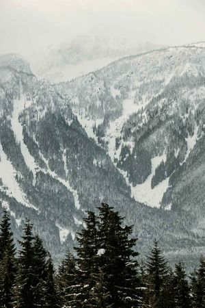 Distant mountain slopes in the background tower over pine trees in the foreground while fog and snow obscure the peaks.