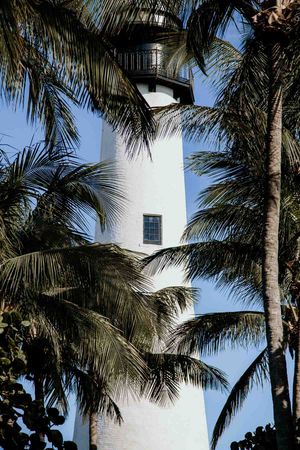 A lighthouse outside of Miami, partially obscured by palm trees on a bright sunny day.