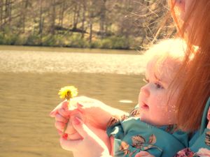 Bright sunlight illuminates a peaceful lakeside scene with natural surroundings.