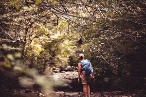 Hiker with backpack walking along scenic forest trail surrounded by lush trees and dappled sunlight.