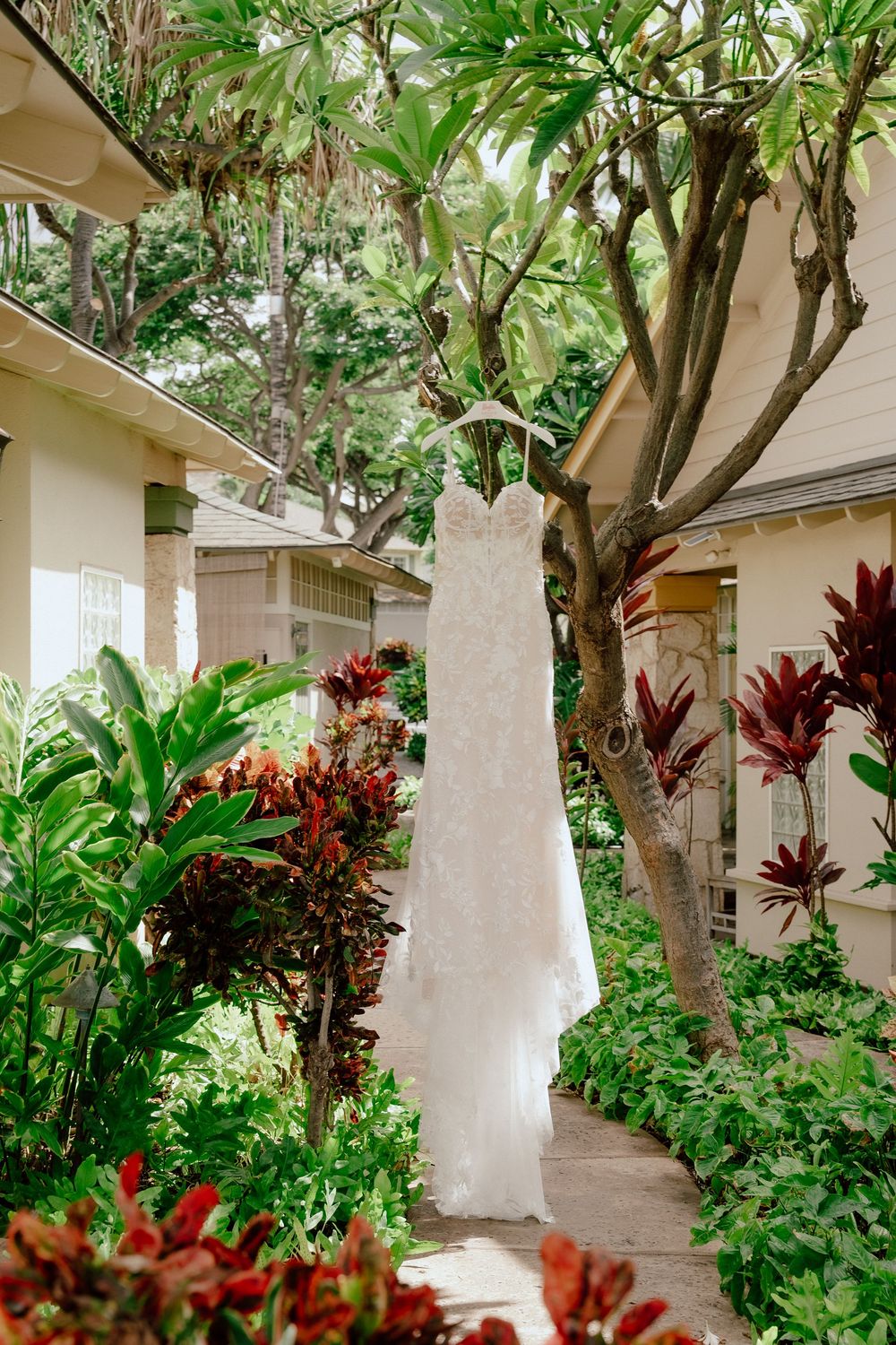A white wedding dress hangs elegantly from a tree branch in a lush tropical garden setting with red ti plants and greenery.
