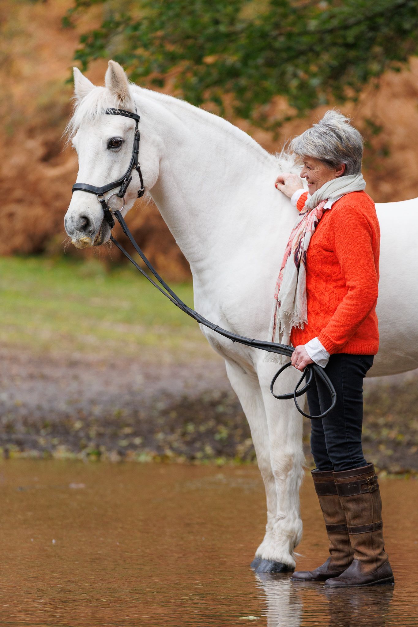 A beautiful bay horse wearing a black bridle stands next to someone in a white lace dress in an outdoor setting.
