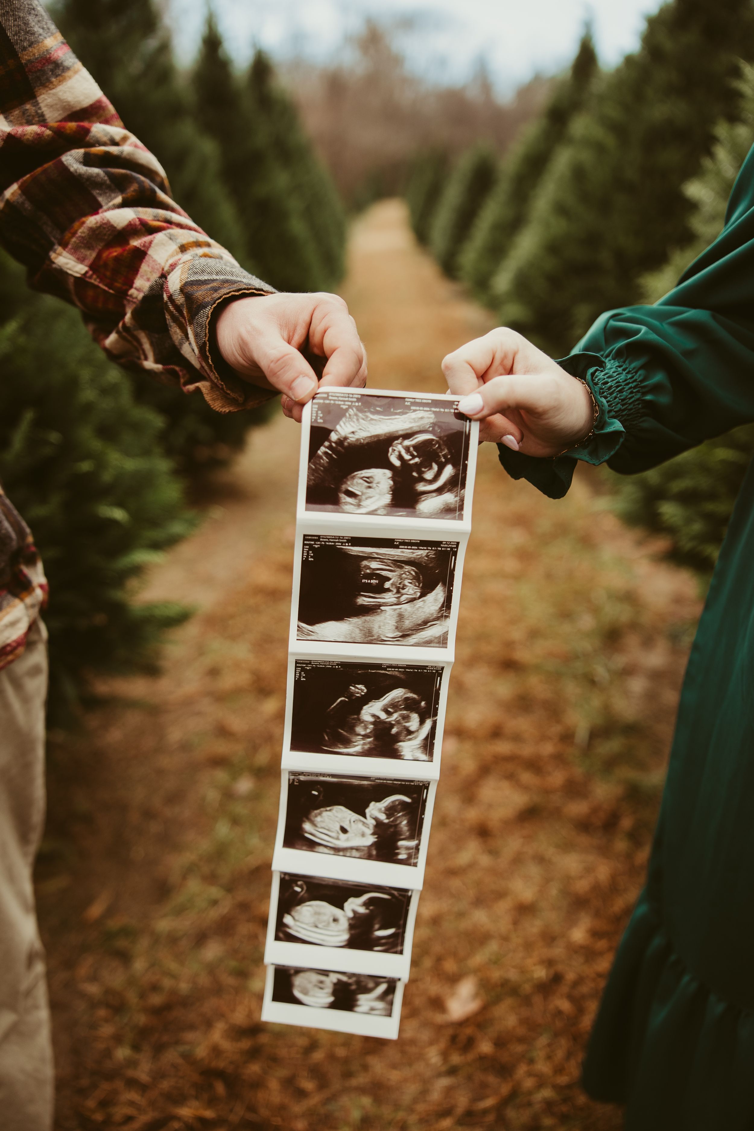 Couple holding a strip of ultrasound photos between rows of Christmas trees.