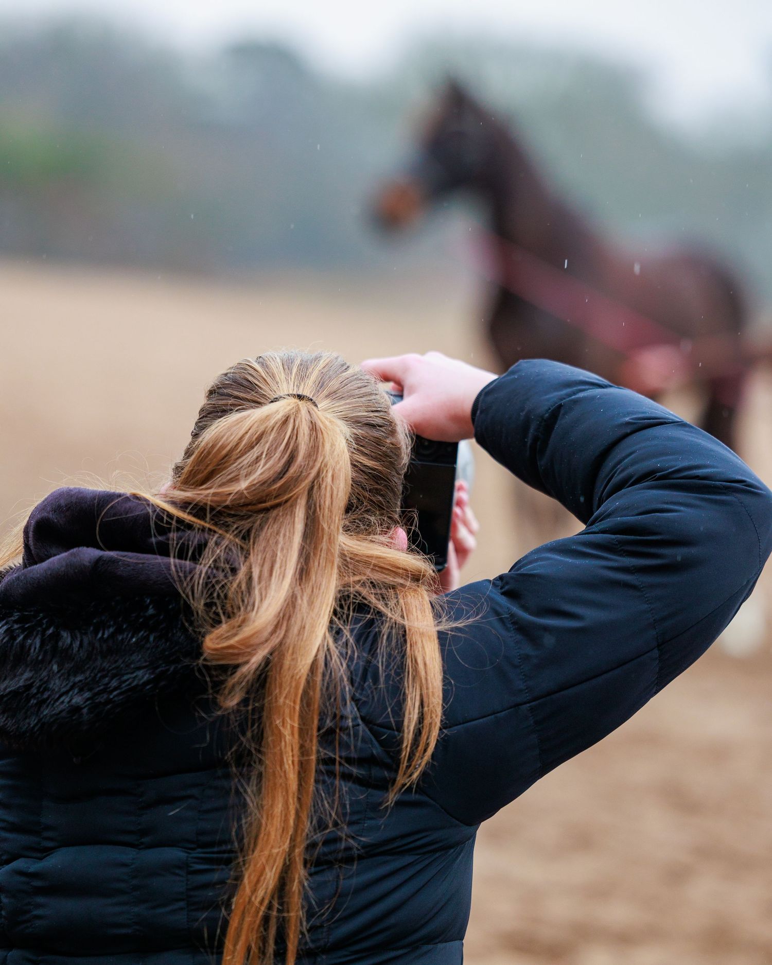 A person with long blonde hair in a black jacket photographs horses running in a misty field at dawn.