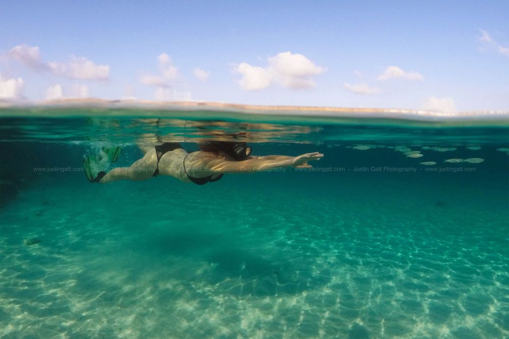 Split view underwater photograph showing ocean surface and coastline.
