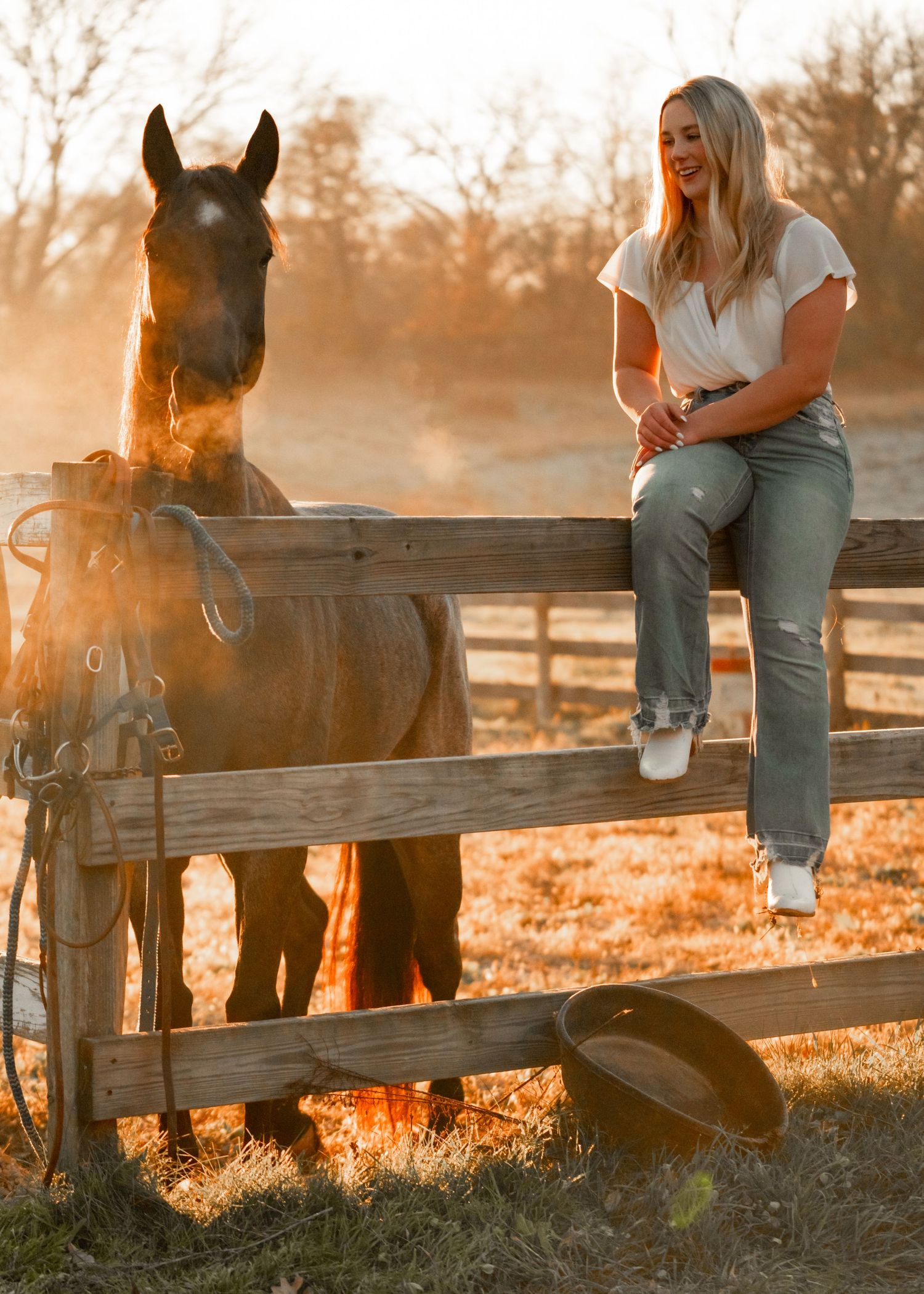 Person sits on wooden fence at sunset with horses visible in golden backlit scene.