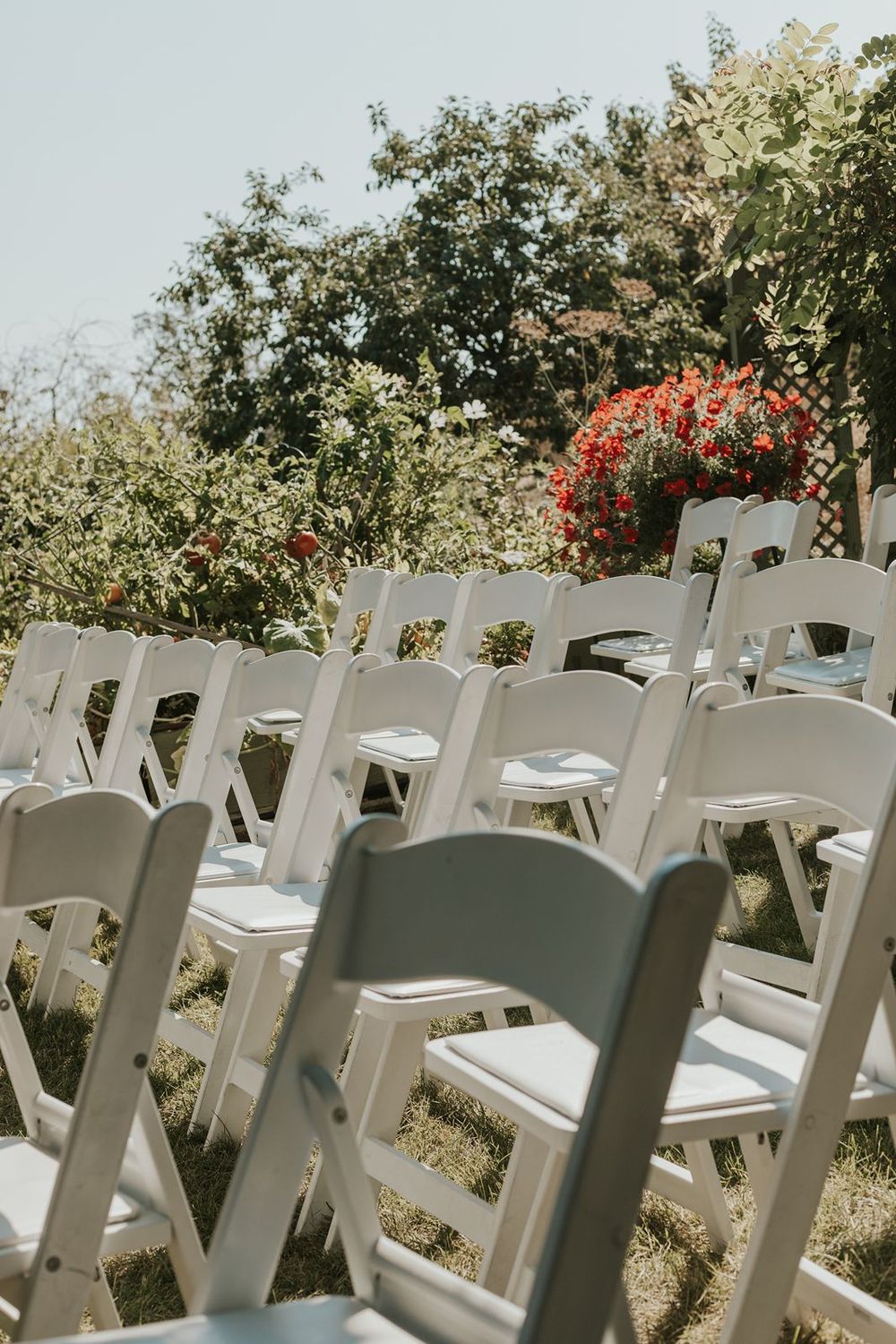 Rows of white folding chairs set up outdoors for a garden wedding ceremony.