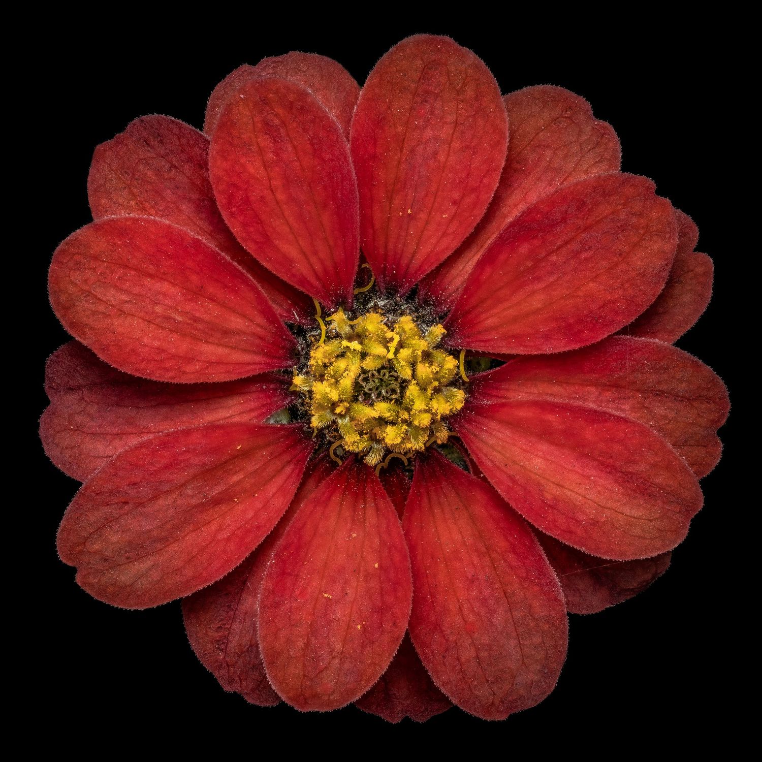 John Peters Photography