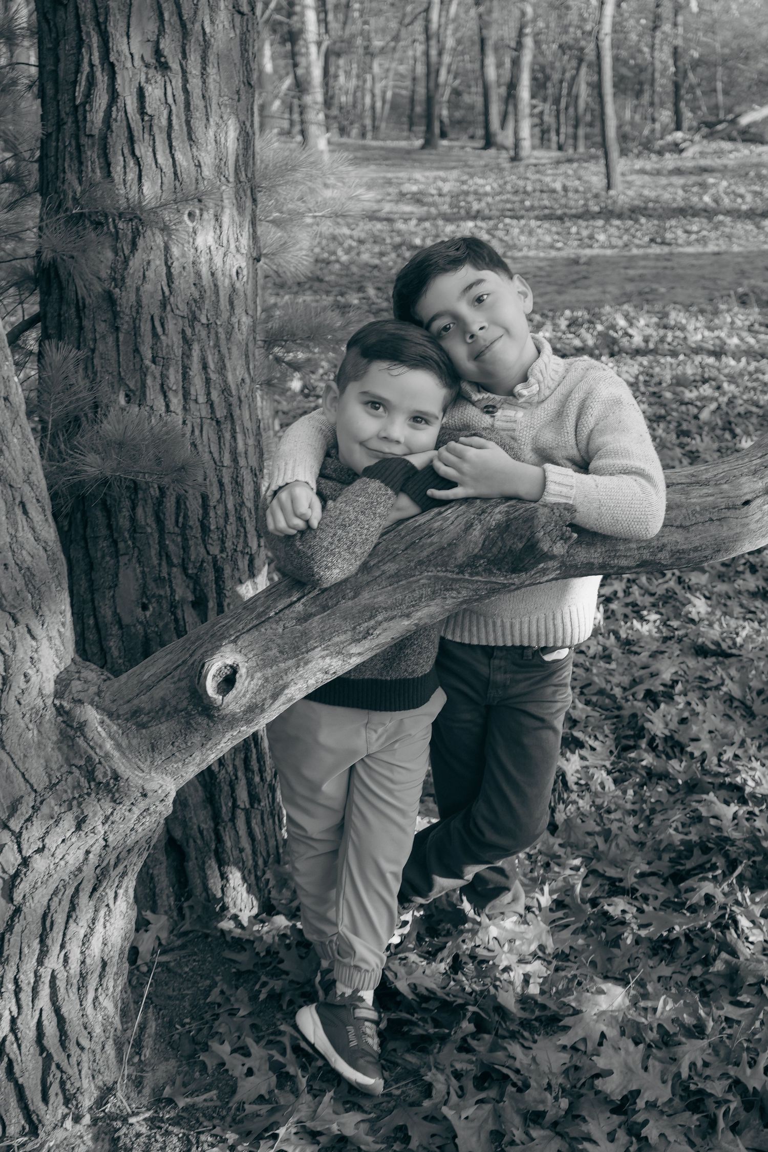 Two children explore and play around a large tree trunk in a wooded area during autumn.