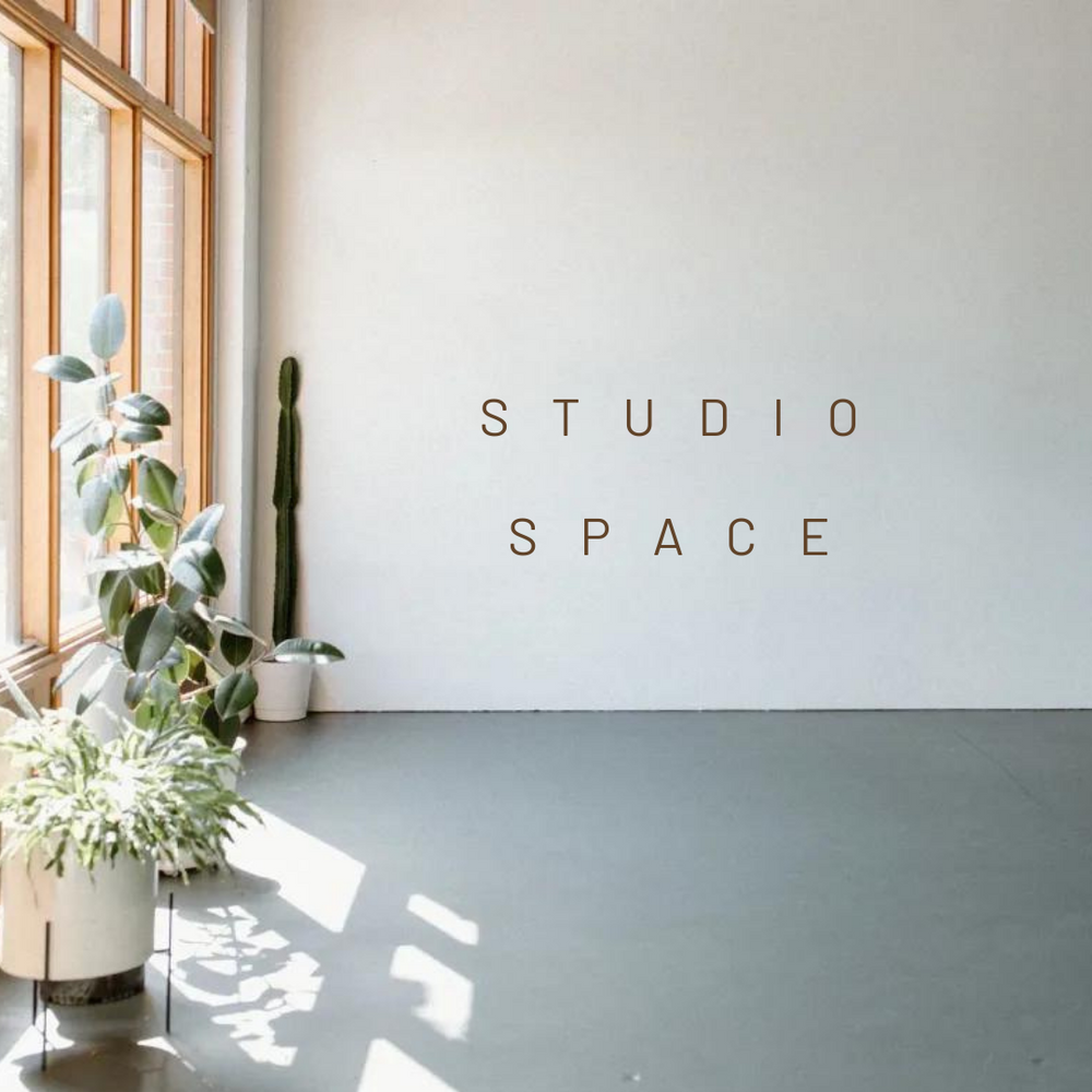 A minimalist studio space with plants and natural light streaming through wooden-framed windows.