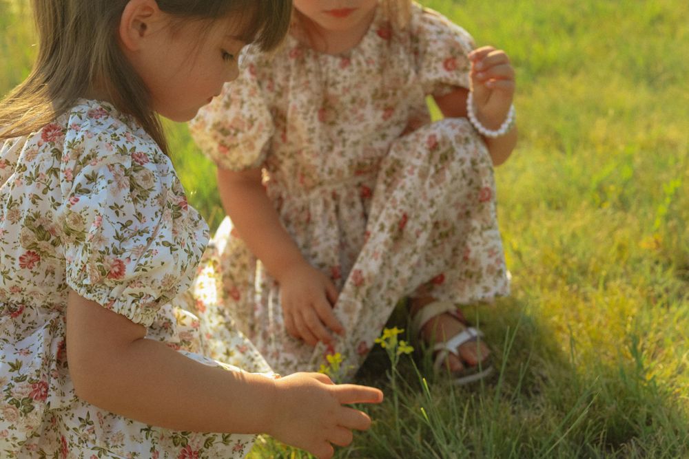 Close-up of hands picking wildflowers in a sunny meadow.