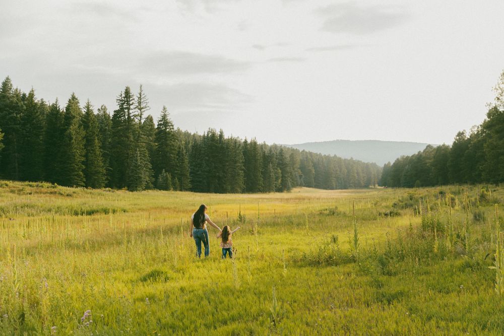 Silhouettes of parent and child walking together in scenic mountain meadow.