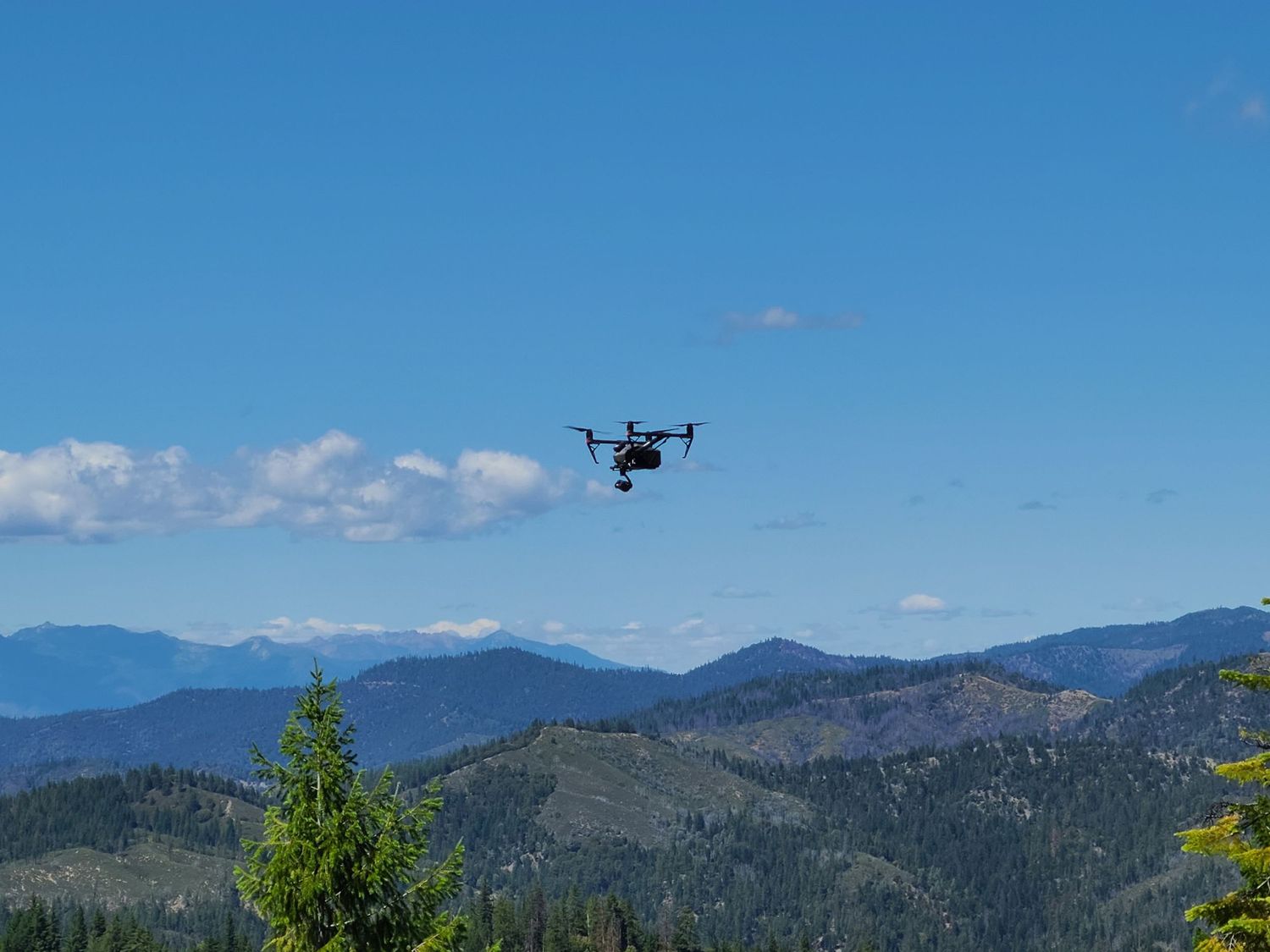 drone