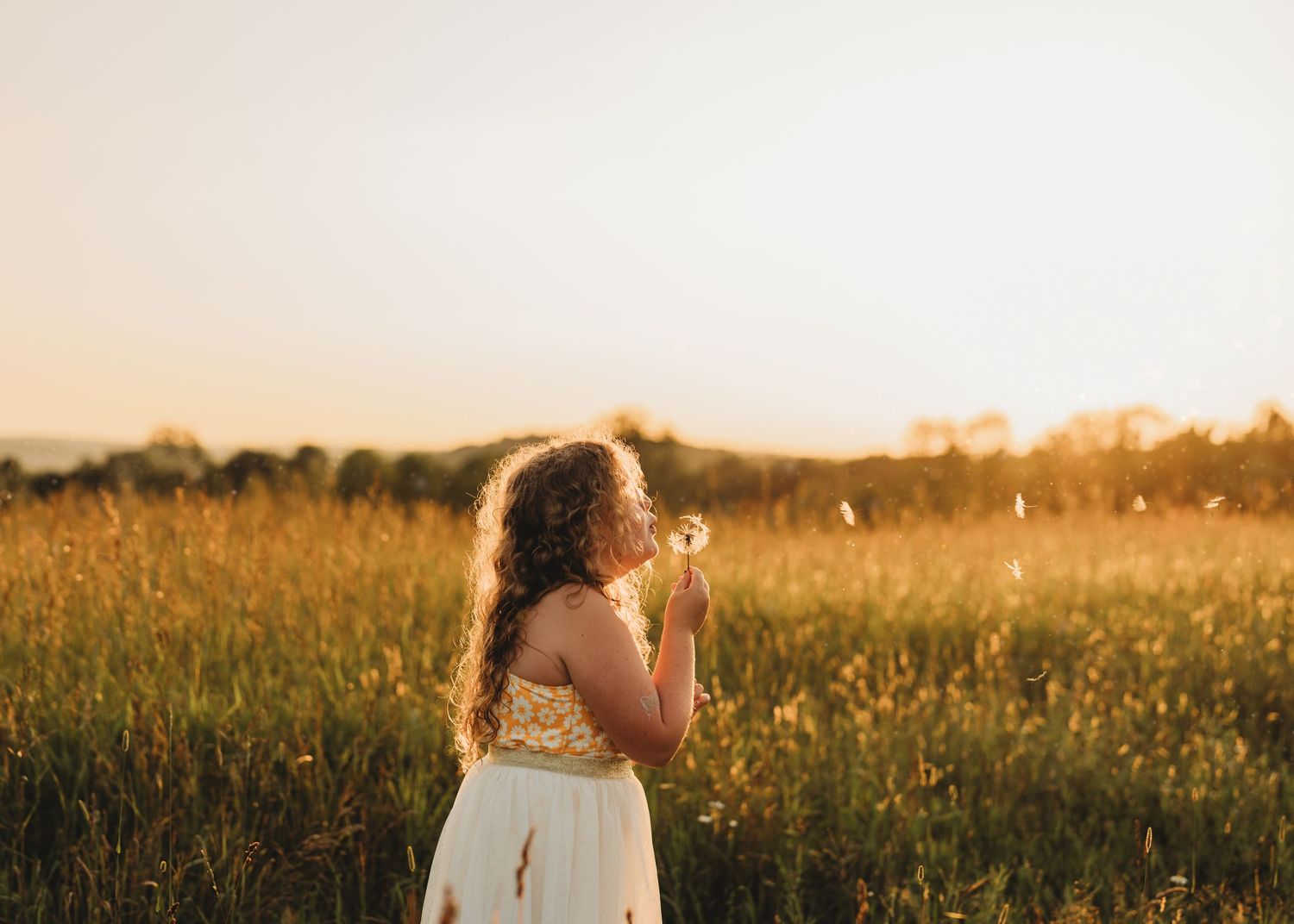 Person blowing dandelion seeds in a golden field at sunset.