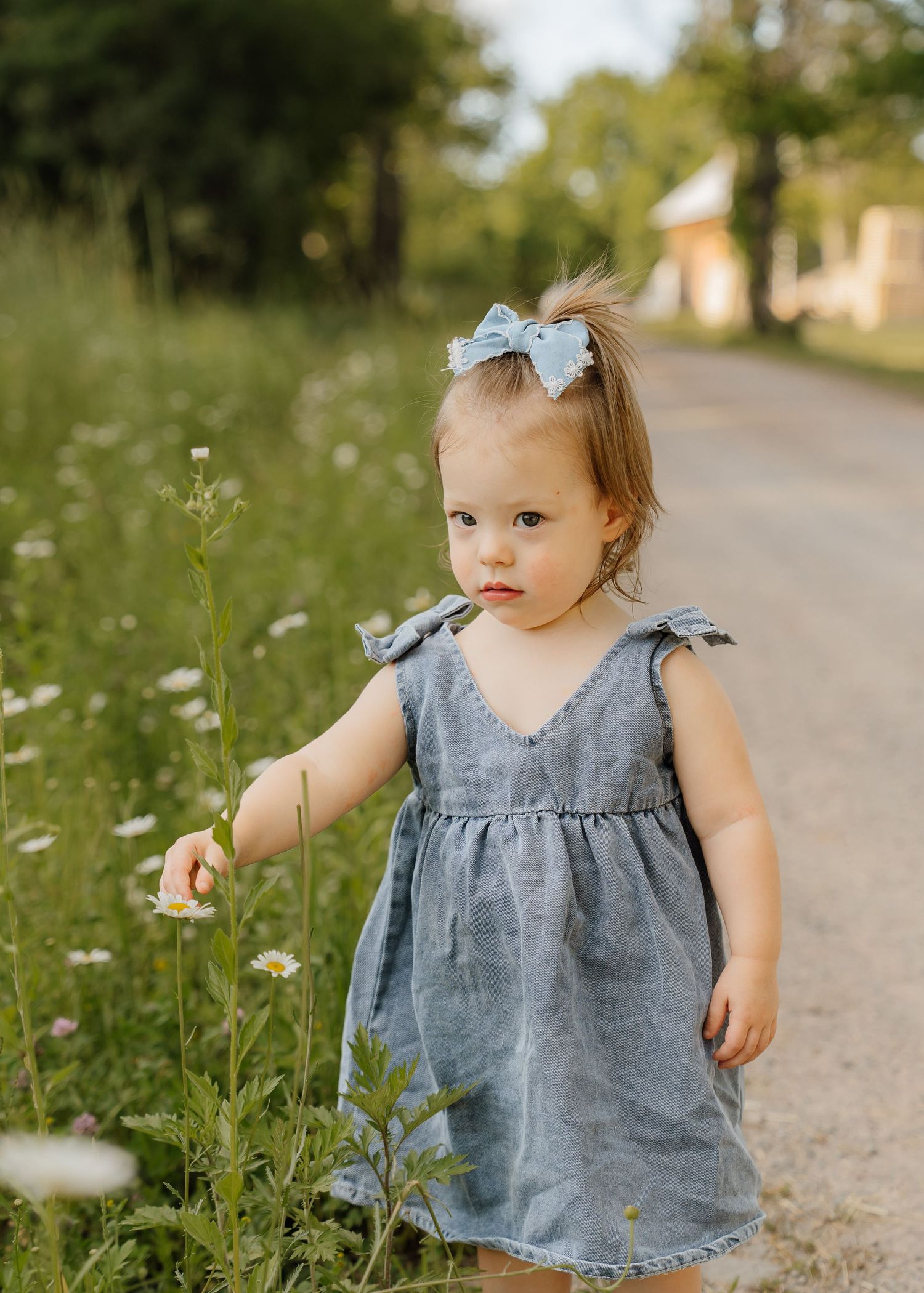 Toddler girl in blue dress and bow reaches for wildflowers on a sunny country path.