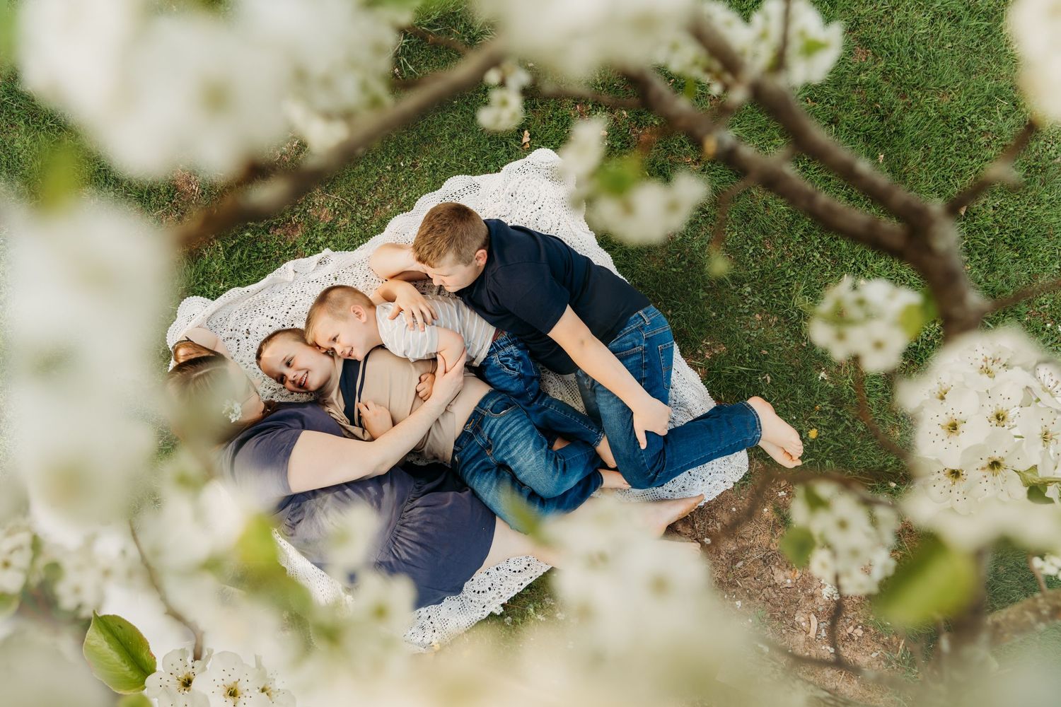 Family lying on blanket viewed through spring blossoms.
