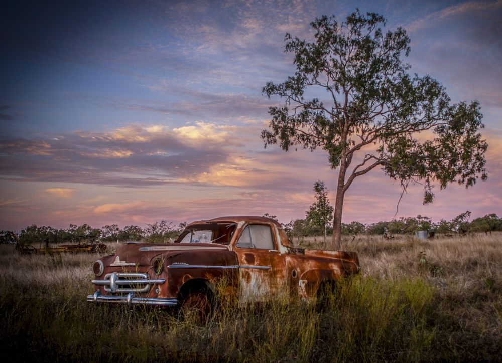 Rustic abandoned vintage pickup truck in tall grass under eucalyptus tree at sunset with dramatic pink clouds.