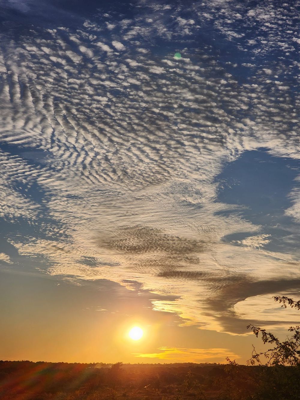 Dramatic sunset sky with rippled altocumulus clouds creating a stunning pattern against the golden evening light.