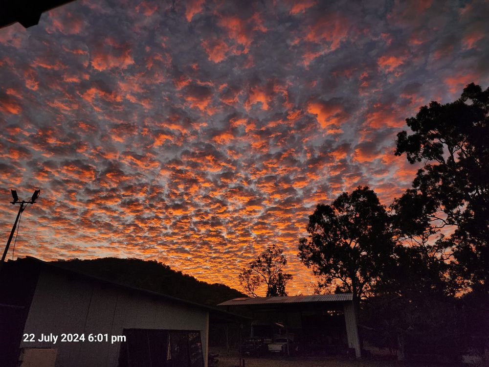 Dramatic sunset sky filled with red and orange mackerel clouds over silhouetted trees and rooftops.