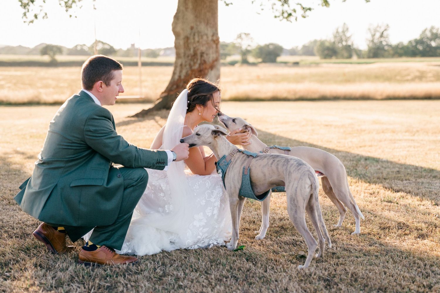 Bride and groom kneeling with two greyhound dogs under a tree at outdoor wedding venue.
