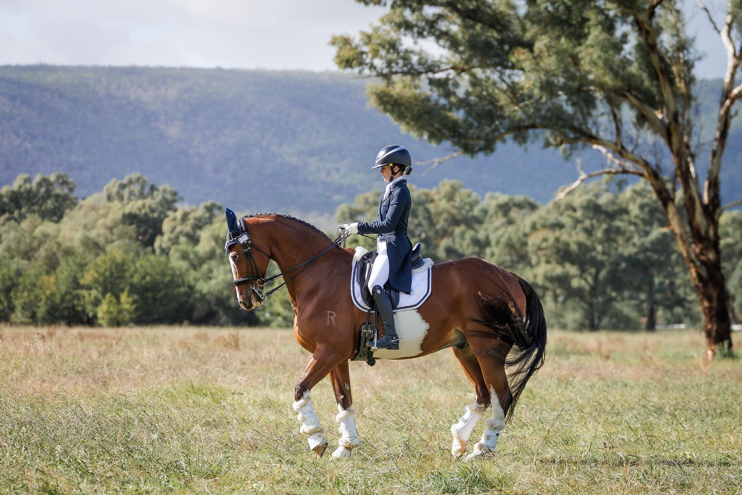 Sophia Coombes & Jigsaw R piaffe at Young Dressage Association. © Simon Scully, 2026.