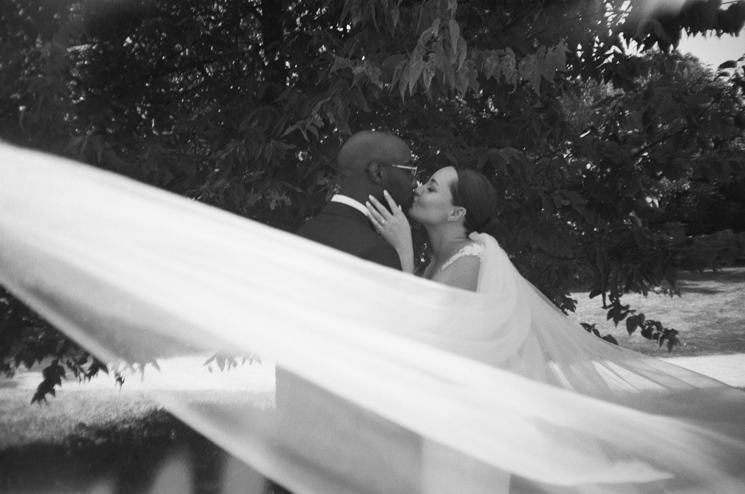 Film Photographer in Hamilton
