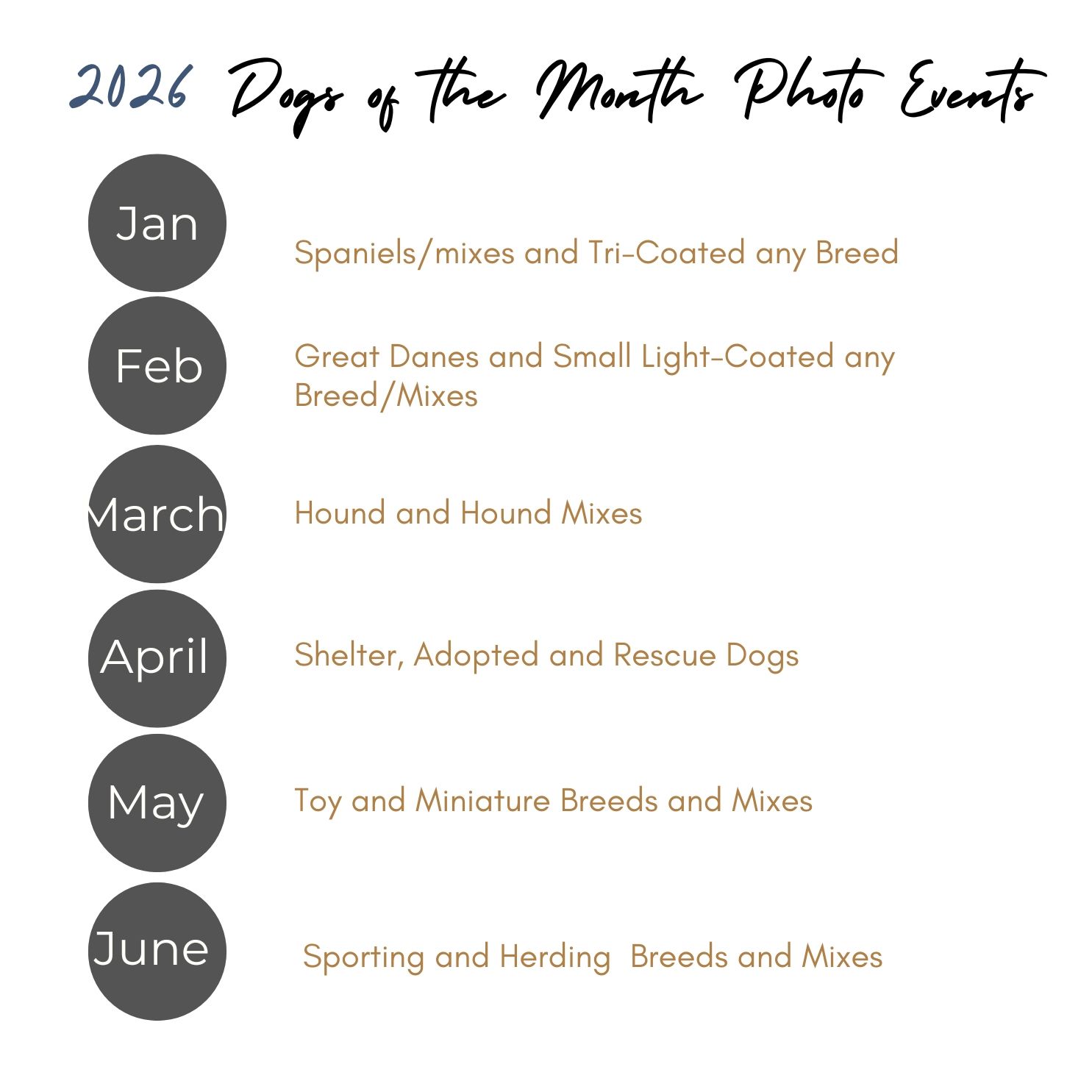Calendar header showing 'Dogs of the Month Photo Event' with monthly categories for different dog breeds and mixes.