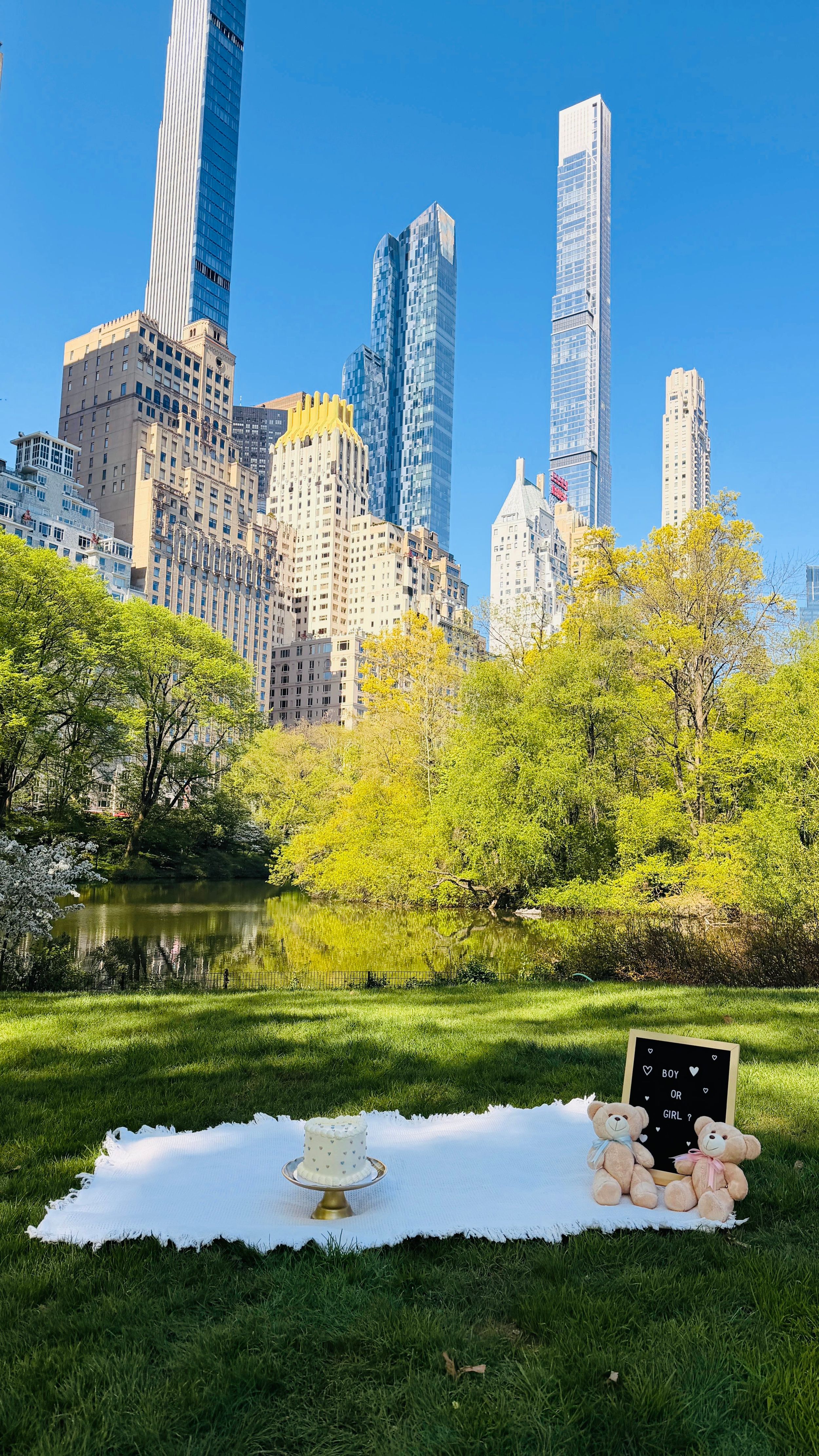 Romantic picnic setup with cake and teddy bears on white blanket in Central Park with NYC skyline backdrop.