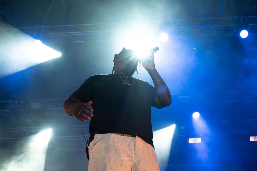 Silhouetted performer holding microphone on stage with dramatic blue and white concert lighting and smoke effects.