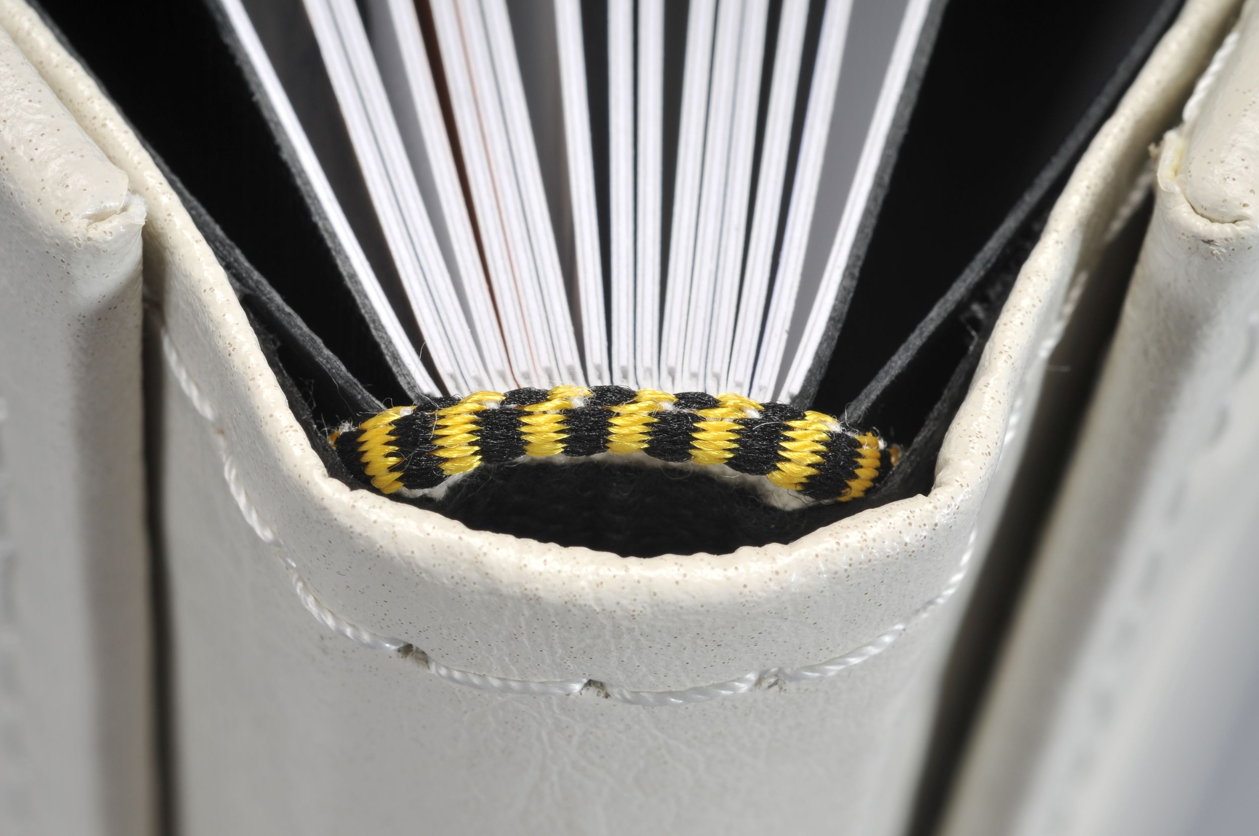 A striped yellow and black moth wing peeking through white pages of an open book.