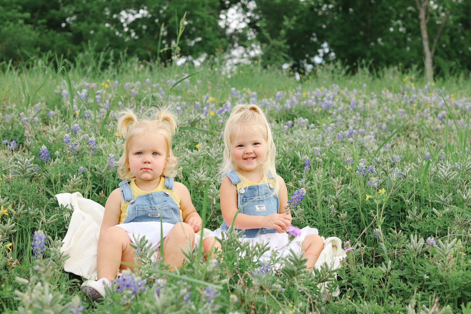 Twin toddler girls sitting among Texas bluebonnets