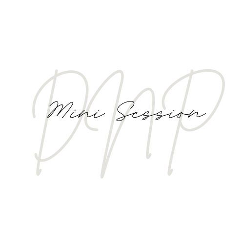Text reading 'Mini Session' in elegant script font on light background.