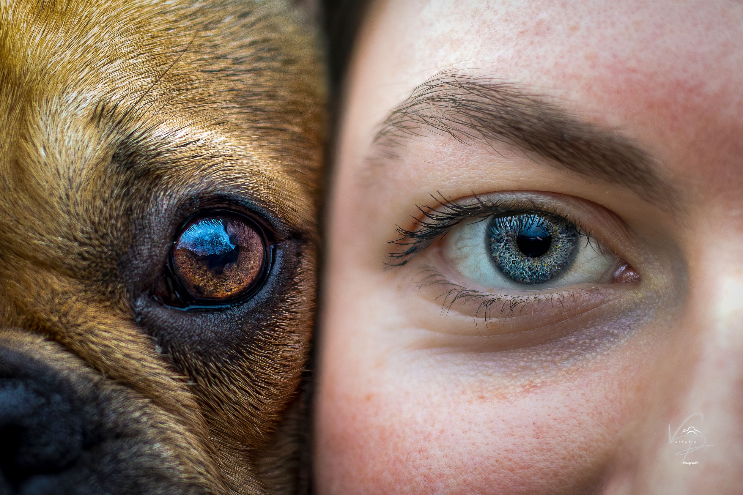 Extreme close-up comparison of blue and brown eyes showing striking color contrast.