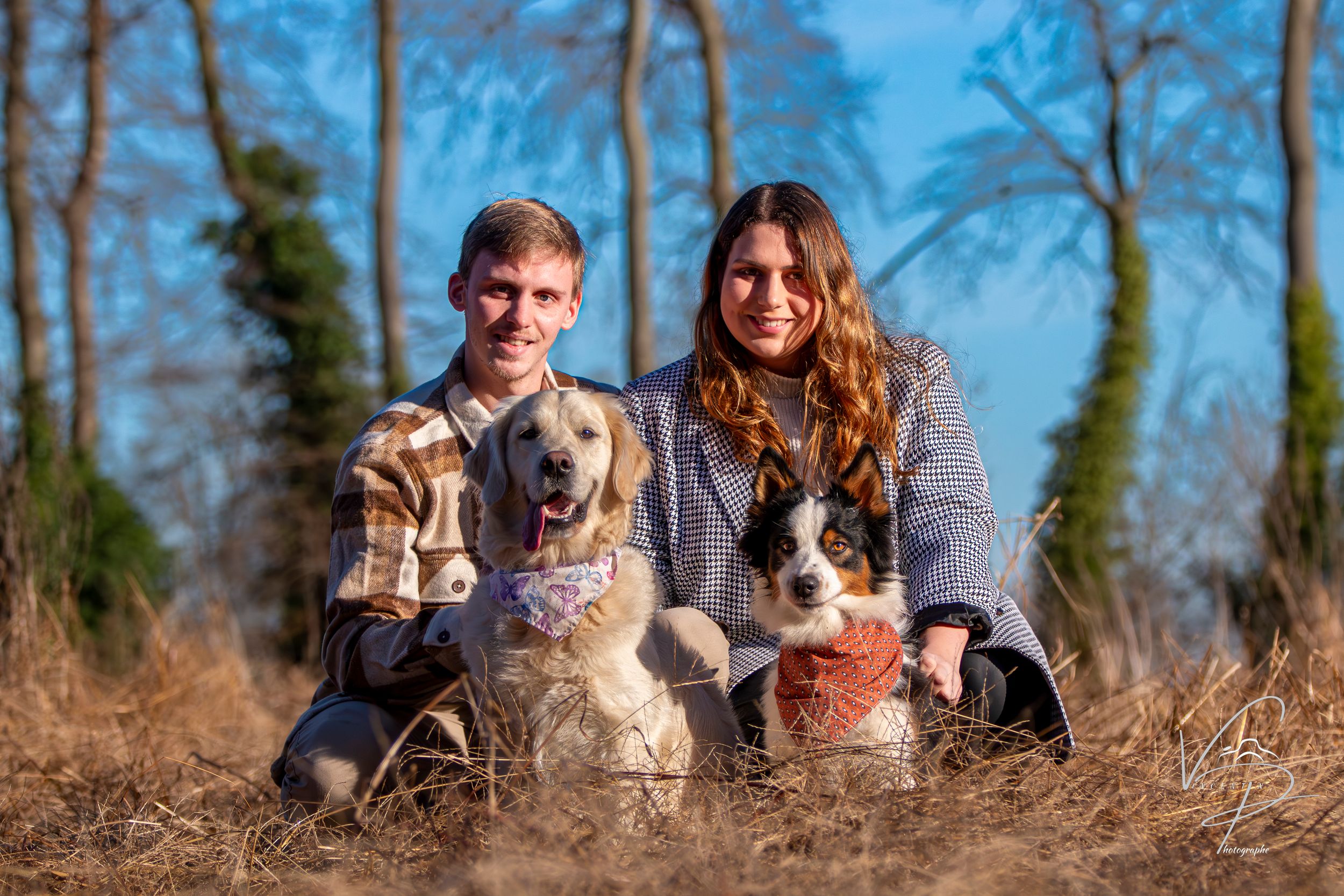 Dogs sitting together with their owners in an outdoor autumn setting.