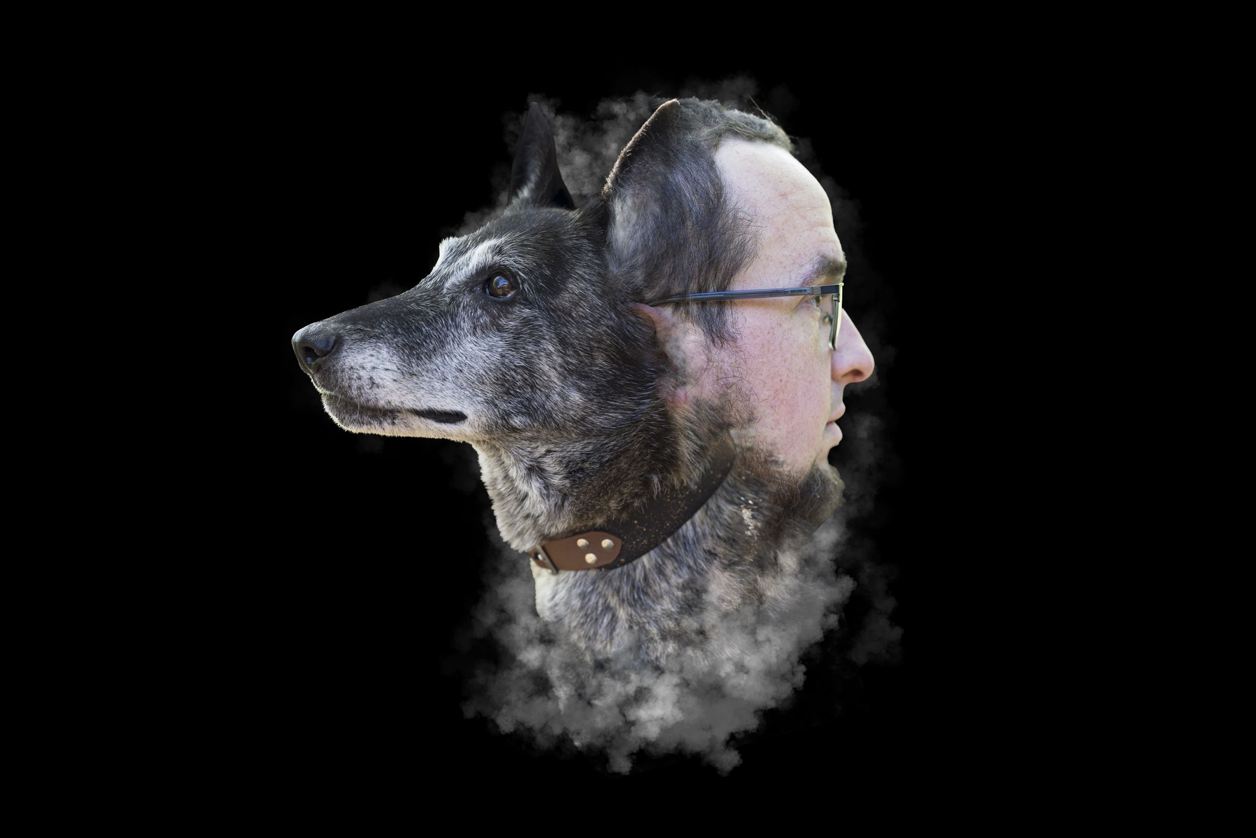 Double exposure portrait blending a German Shepherd dog and a bearded man with glasses on black background.