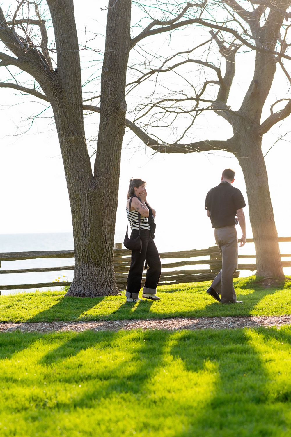 Silhouettes of people standing under trees on a grassy hill during golden hour during a proposal in Bayfield.