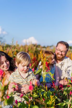 A group of people enjoy exploring a vibrant flower field filled with pink blooms and golden plants on a sunny day.