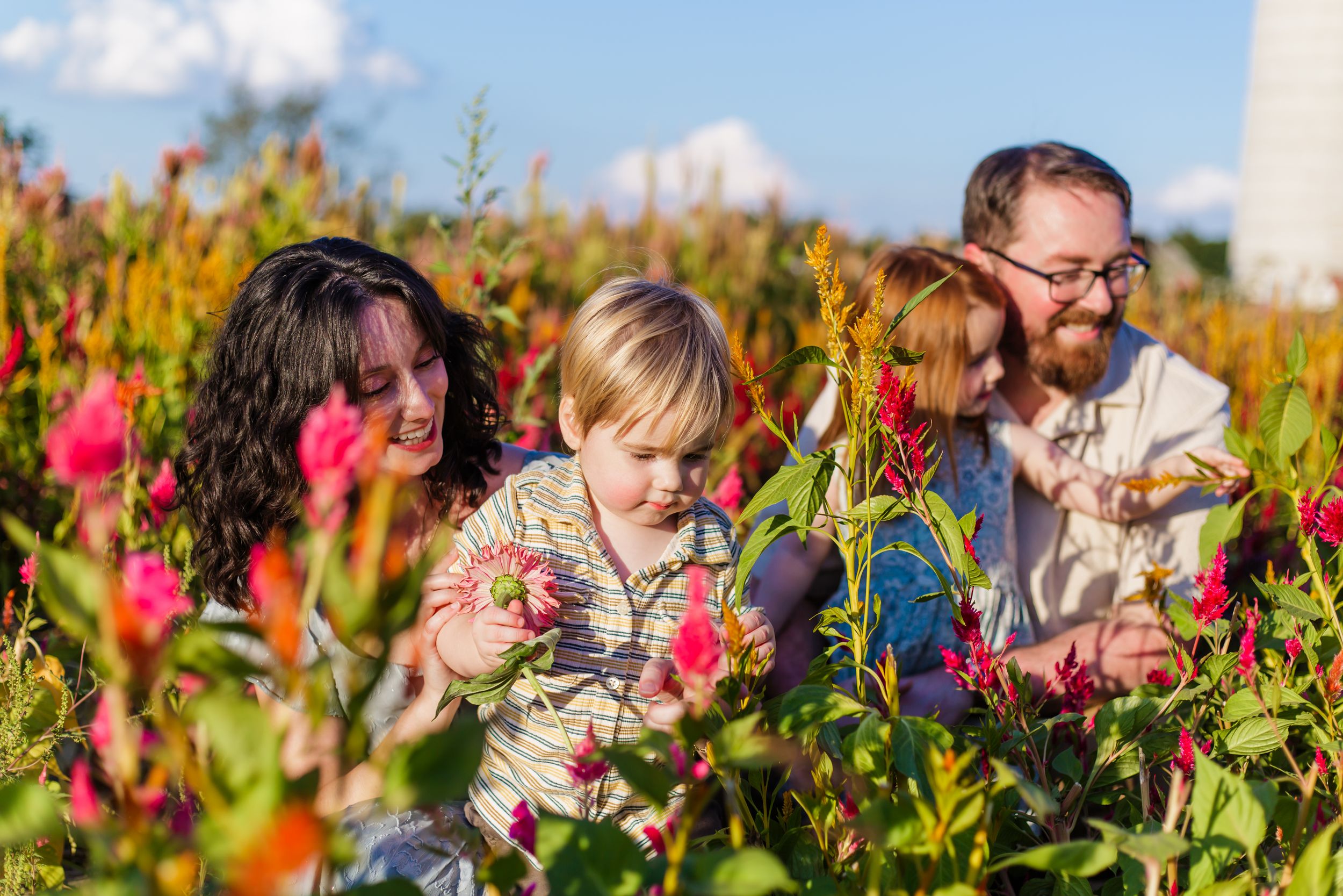 People enjoying a vibrant flower garden filled with colorful blooms on a sunny autumn day.