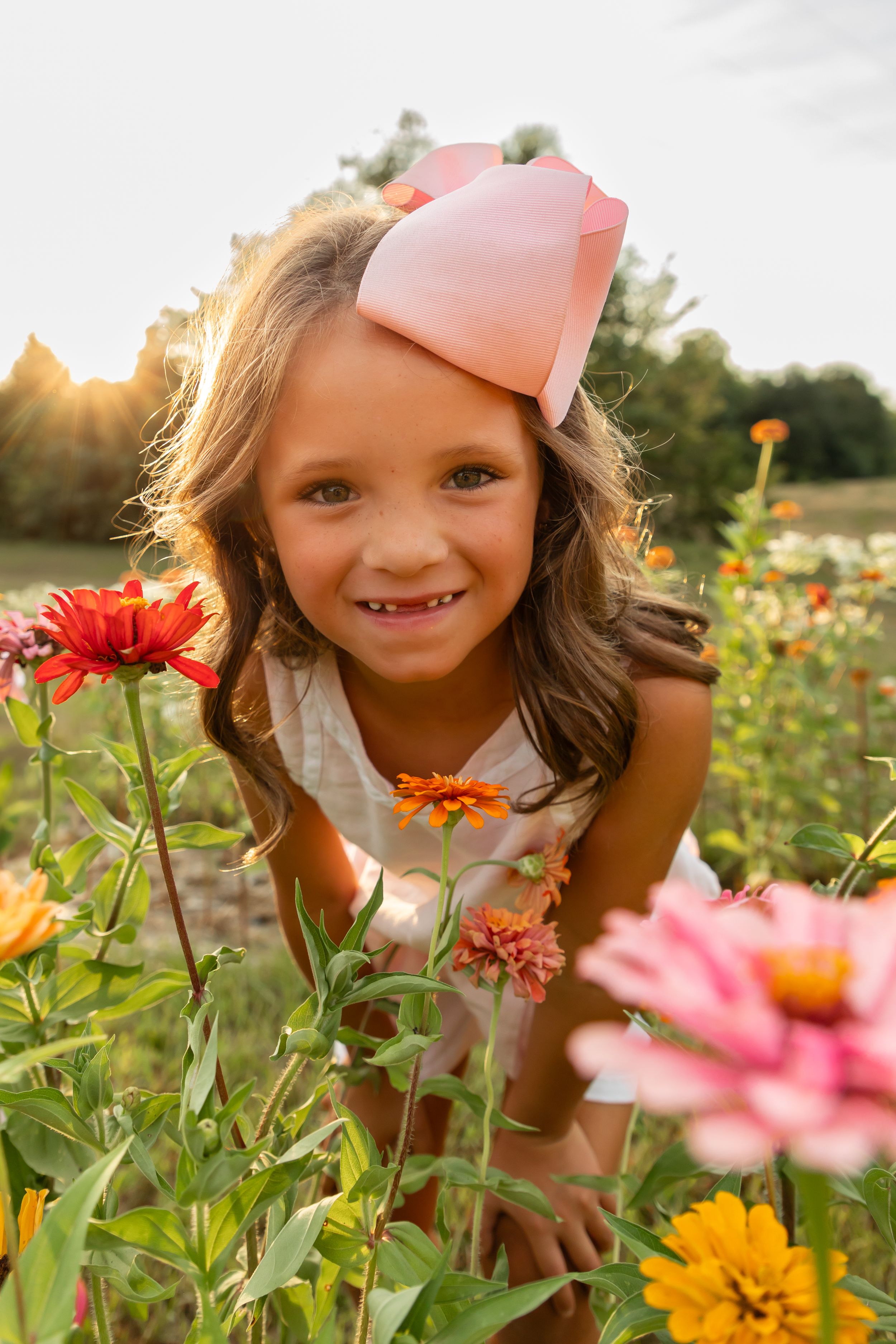A bright summer scene in a flower garden with vibrant zinnias and dahlias blooming at golden hour.
