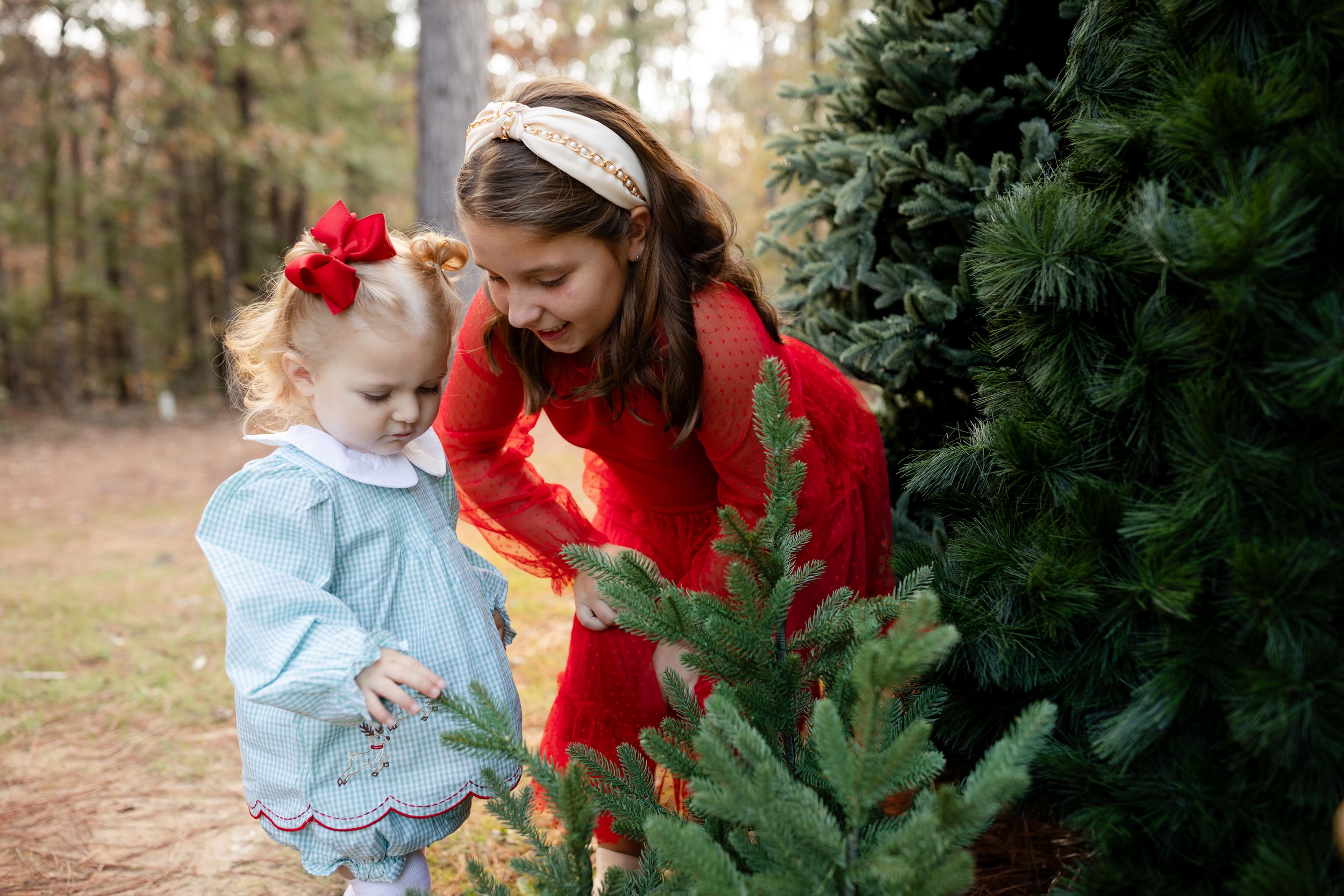 Family decorates an evergreen Christmas tree together outdoors in a wooded setting.