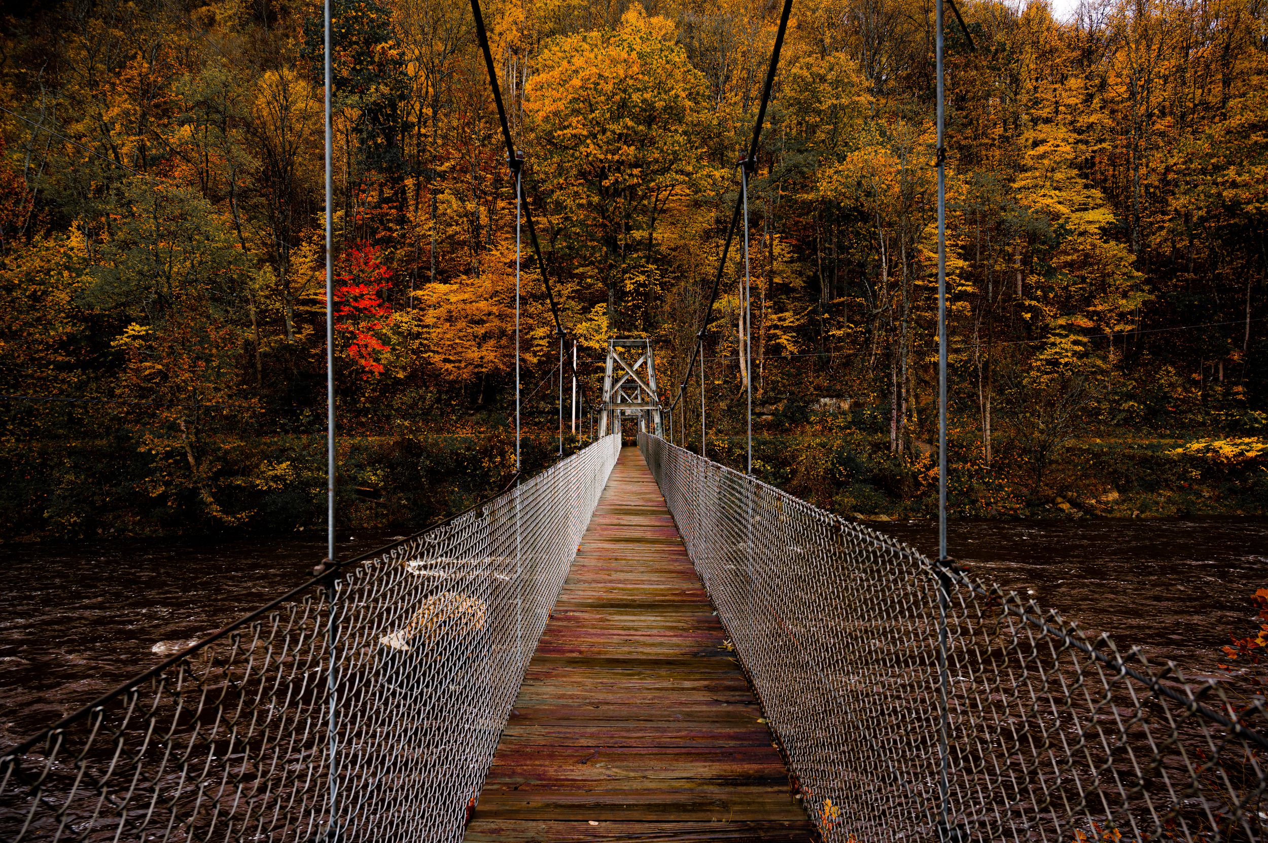 Hendricks suspension bridge spans across a ravine surrounded by vibrant fall foliage in golden hues in West Virginia.