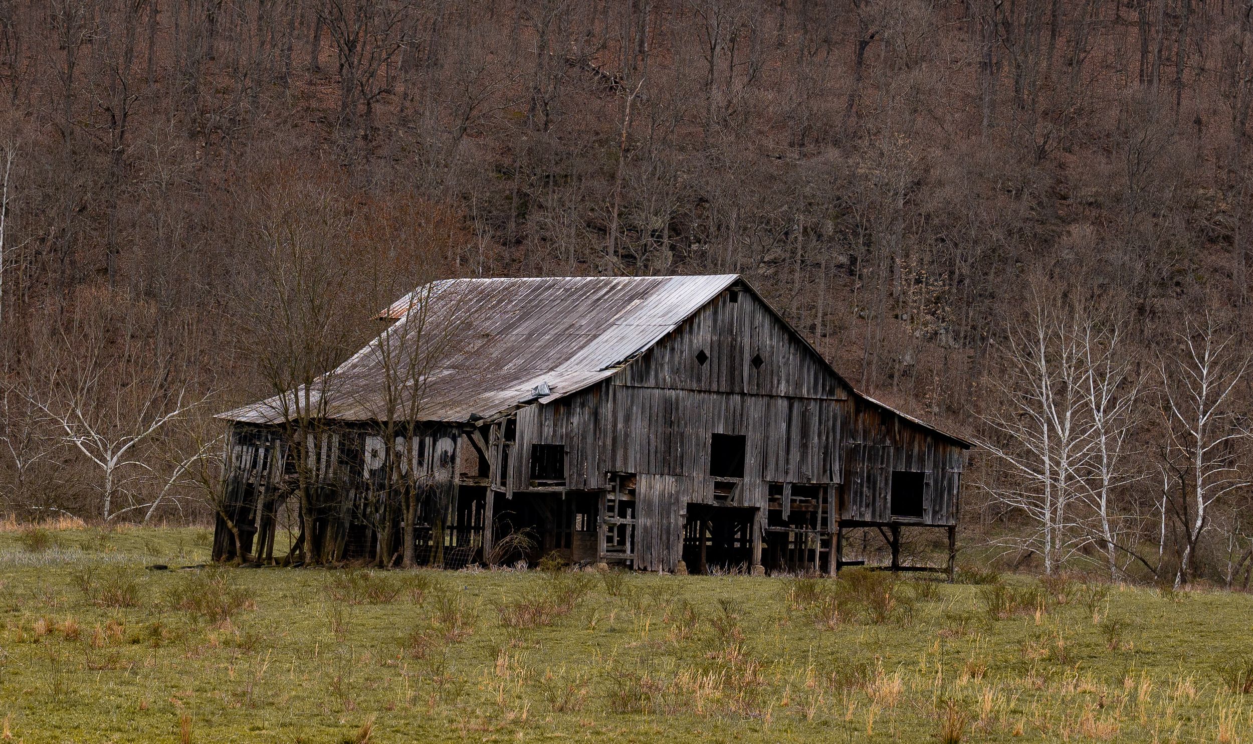 Weathered old wooden barns and outbuildings standing in an open rural field.