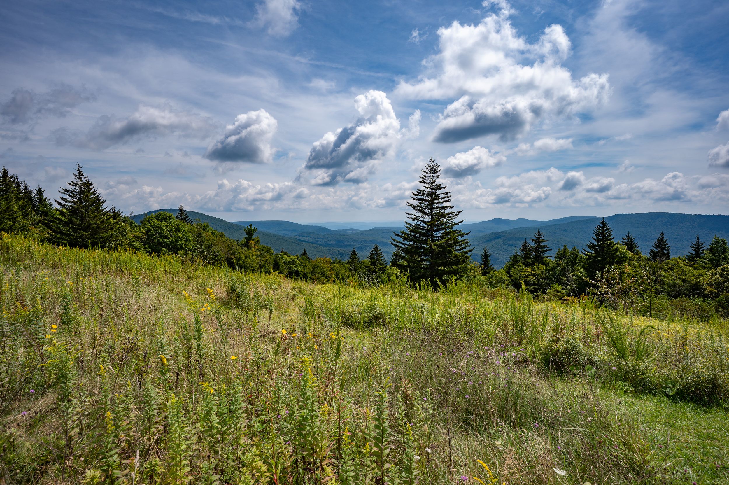 Mountain ridges stretch across the horizon under a dramatic summer sky with puffy white clouds in West Virginia.