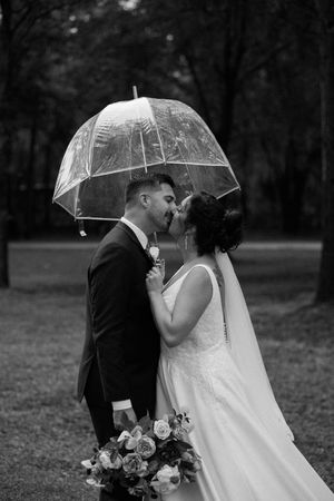 A romantic black and white wedding photo series showing a couple sharing intimate moments under clear umbrellas in a park.