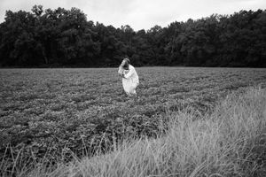 A series of black and white landscape photographs showing a figure in a white dress walking through tall grassy fields.