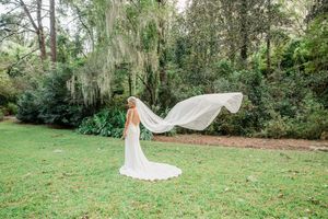 Sunlit garden pathway with Spanish moss hanging from trees.
