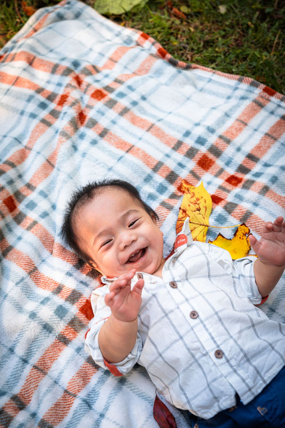 "Say Cheese"