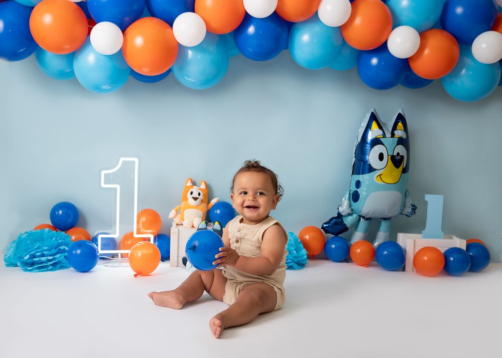 Boy Smash Cake, Bluey Smash Cake.