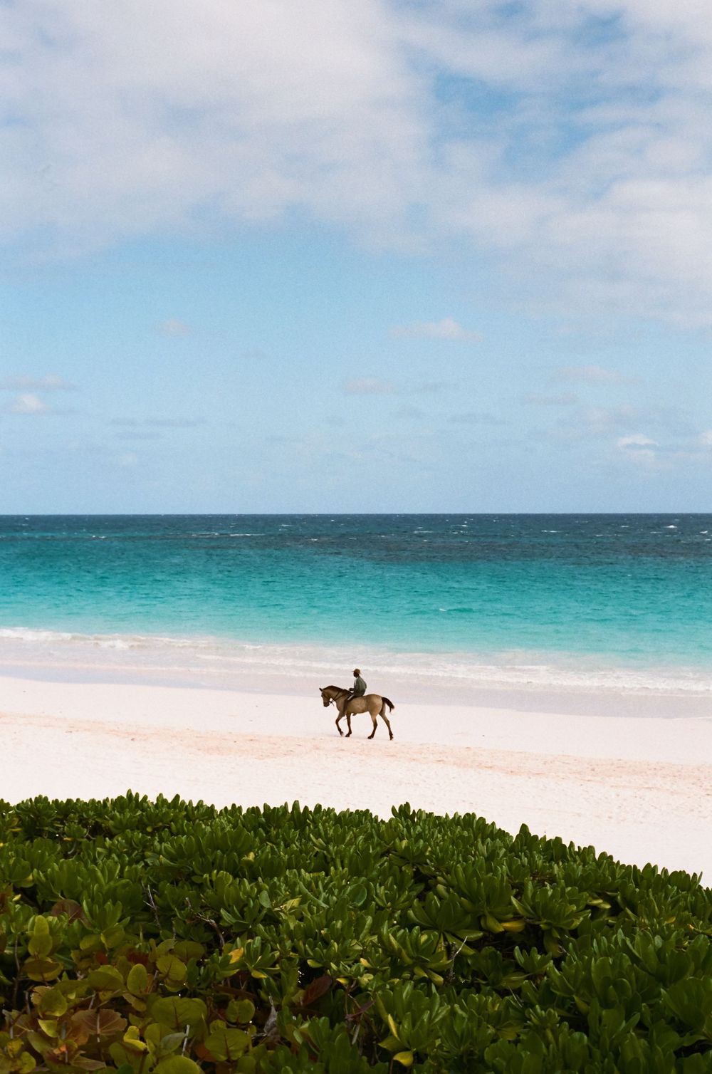 A lone horseback rider strolls along a pristine white sand beach with turquoise ocean waters and lush green foliage.